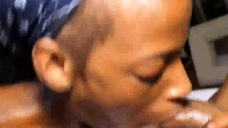 safari tiger fucked texas suga slim boy